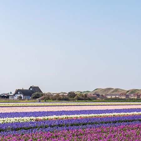 Duinland 251 - Park Duinland Sint Maartenszee Sint Maartensvlotbrug Dış mekan fotoğraf