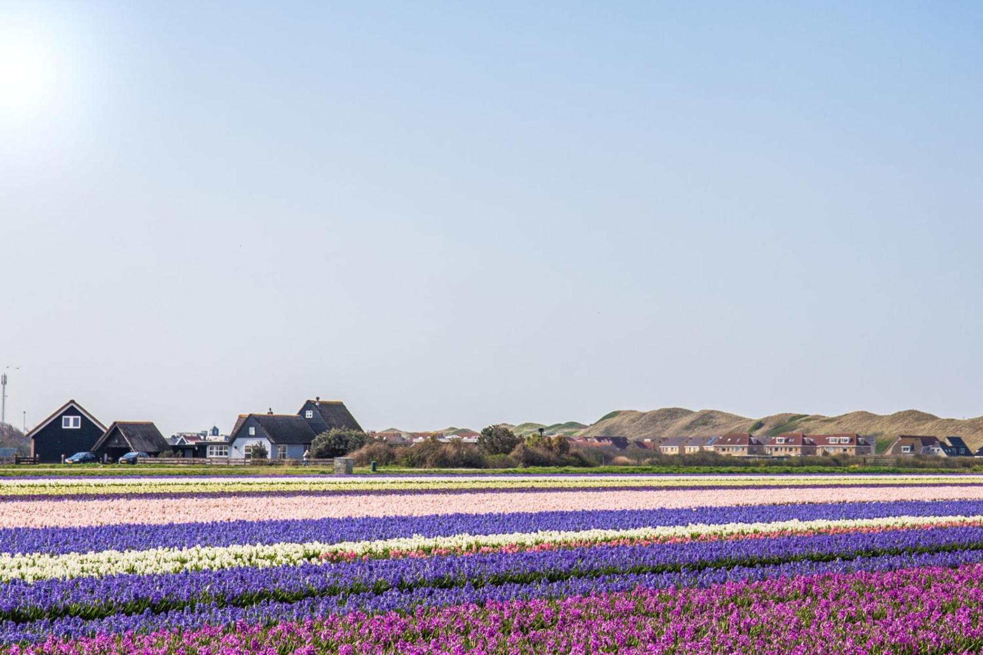 Duinland 251 - Park Duinland Sint Maartenszee Sint Maartensvlotbrug Dış mekan fotoğraf